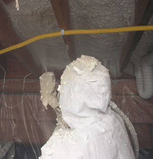 Spring Lake NJ crawl space insulation